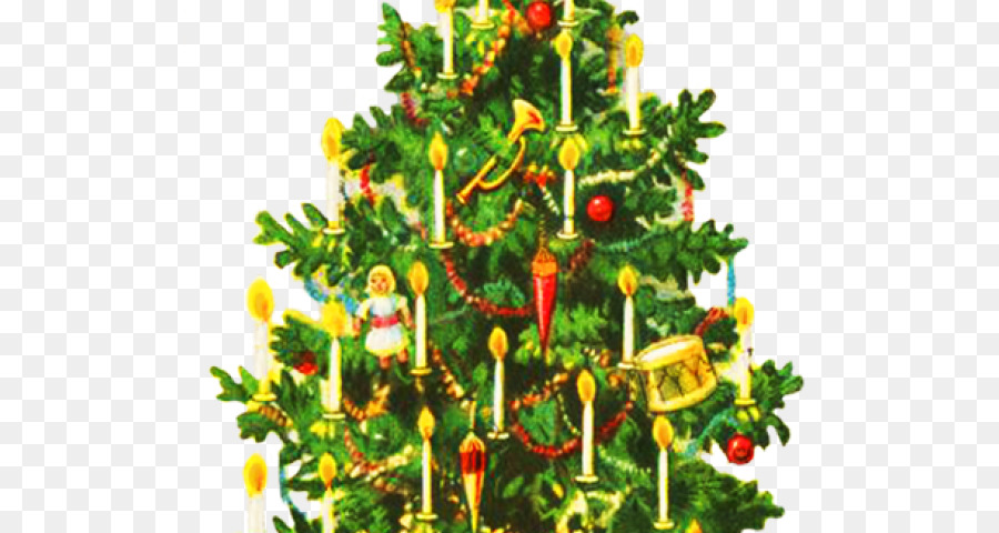 картинки Рождество，Рождественская елка PNG
