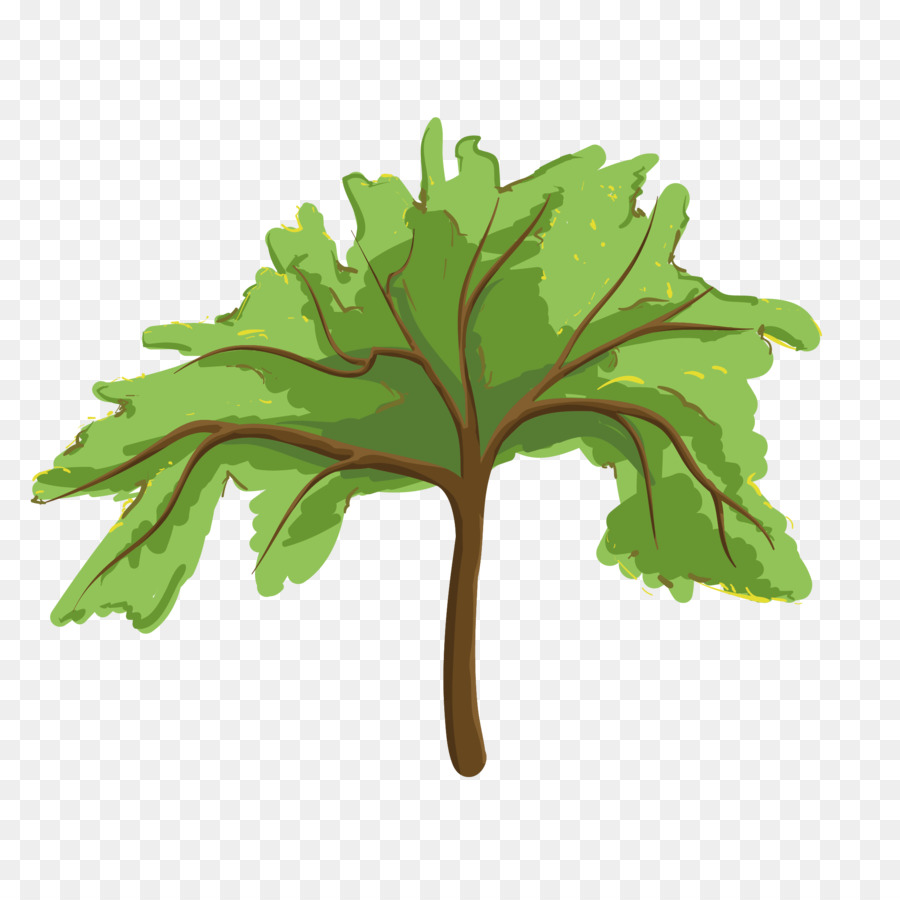 Дерево，генеалогия PNG