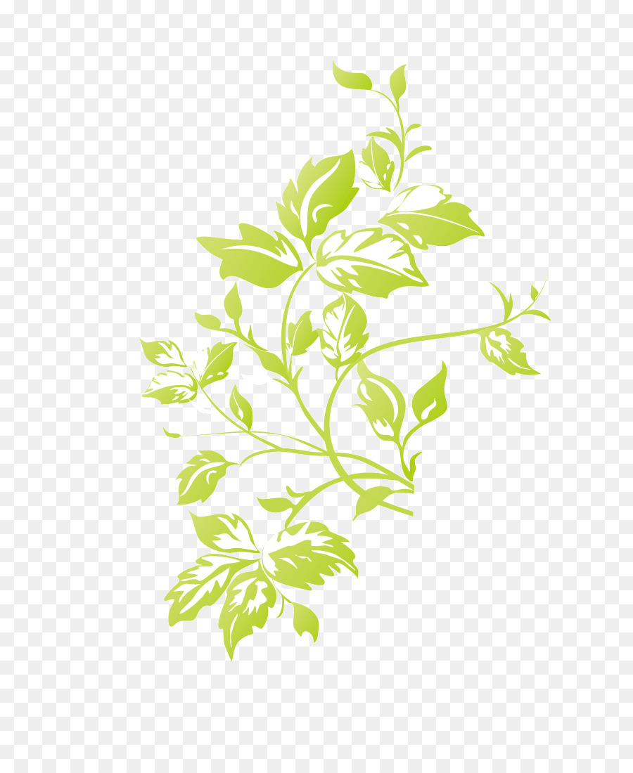 Травянистое растение，растения PNG