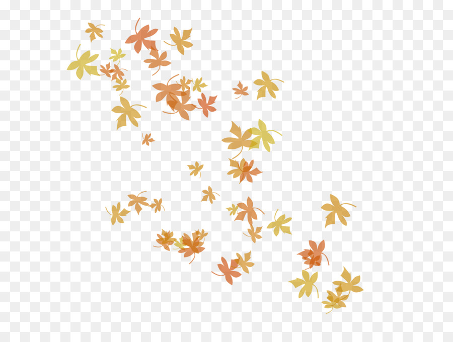 Осень，Осенняя окраска листьев PNG