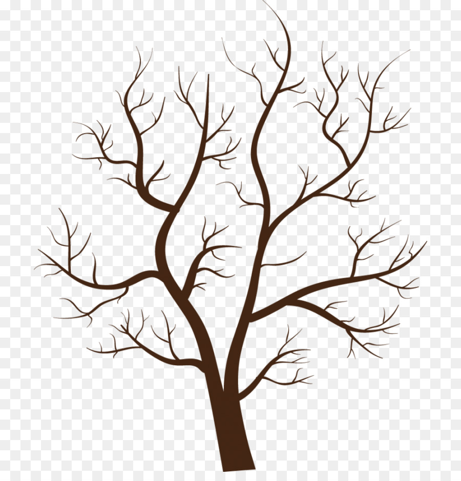 Дерево，Филиал PNG