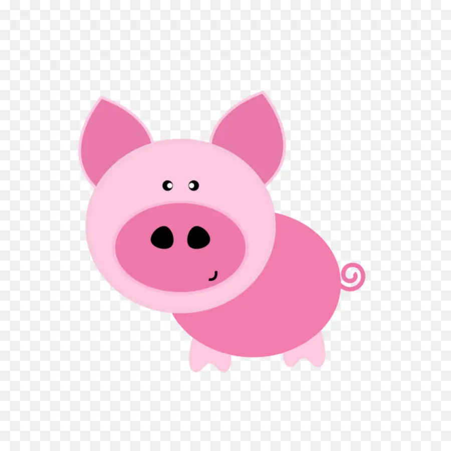 свинья，Домашняя свинья PNG