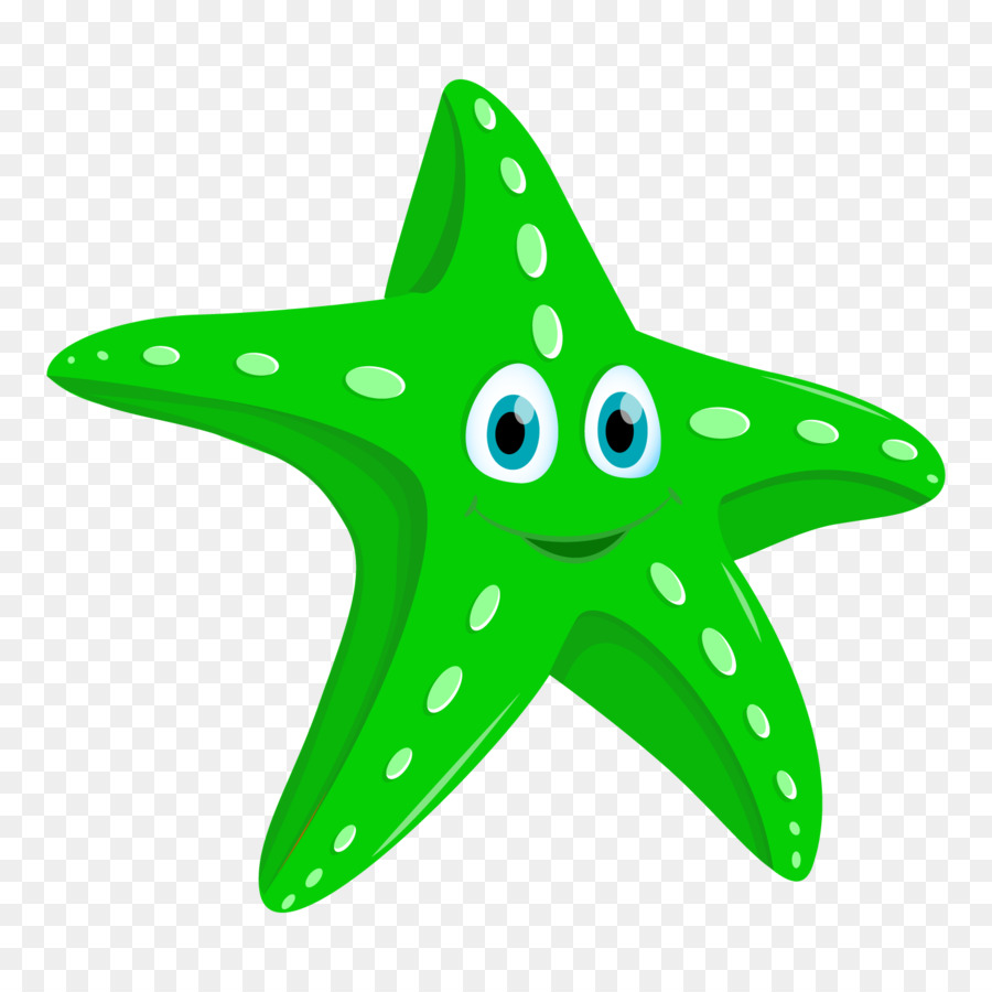 Морская звезда для детей