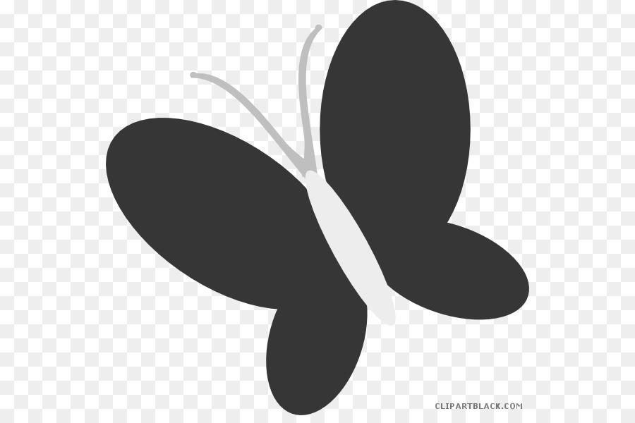 Бабочка，мультфильм PNG