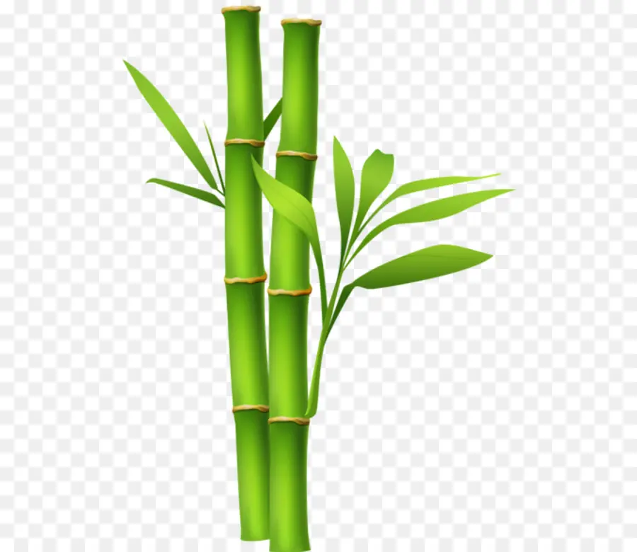 Bamboo，Обои Для Рабочего Стола PNG
