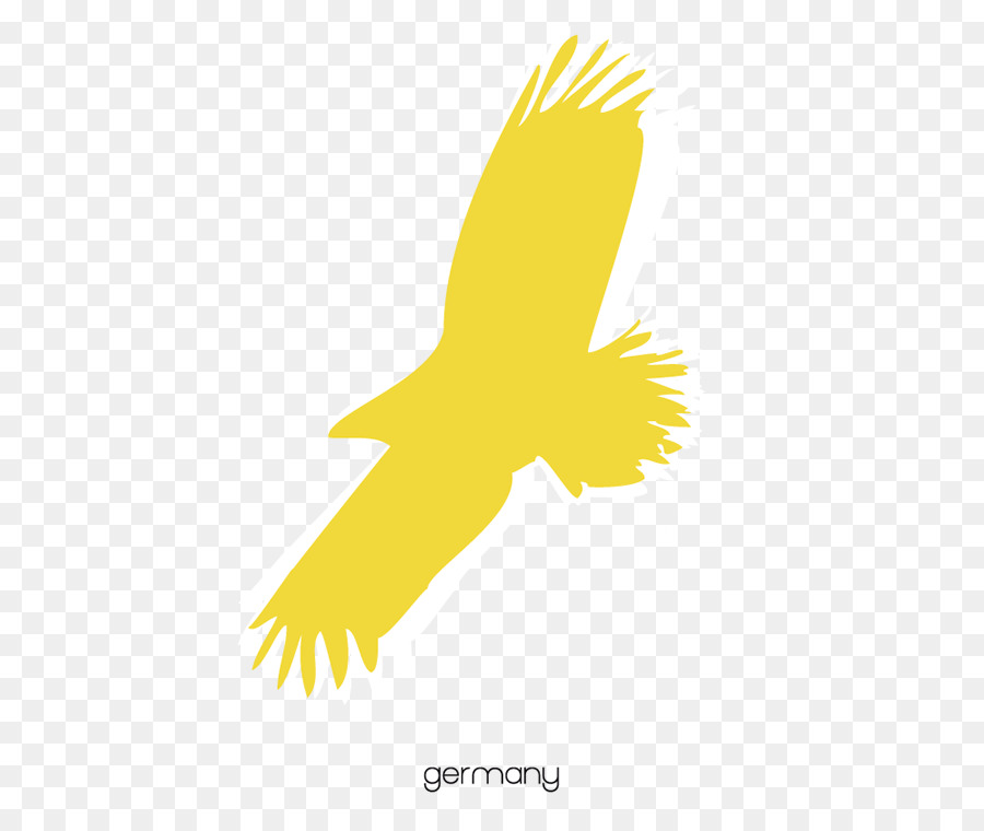 логотип，Клюв PNG