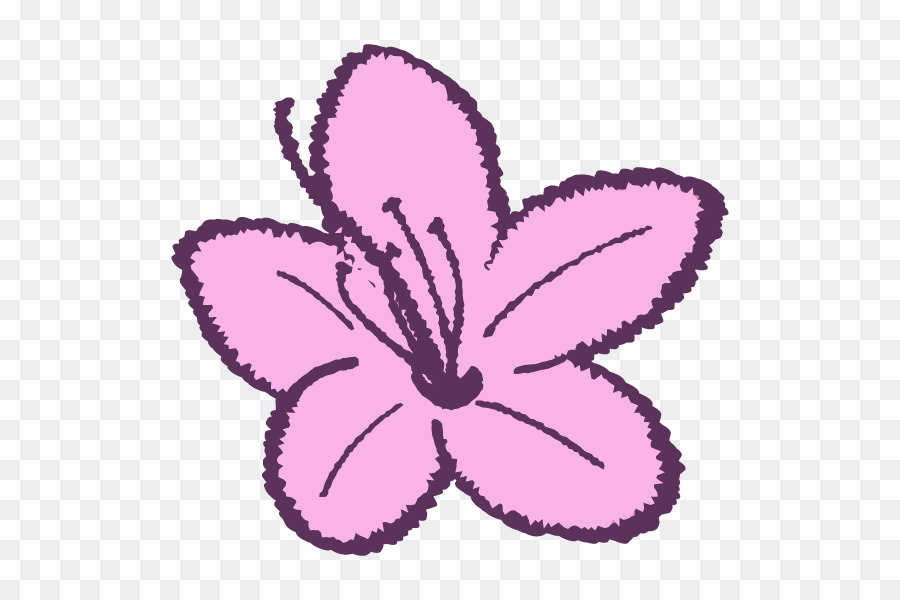 розовый M，цветущее растение PNG