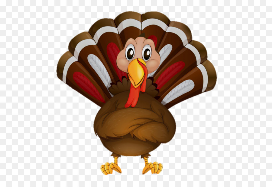одомашненные Турция，День благодарения PNG