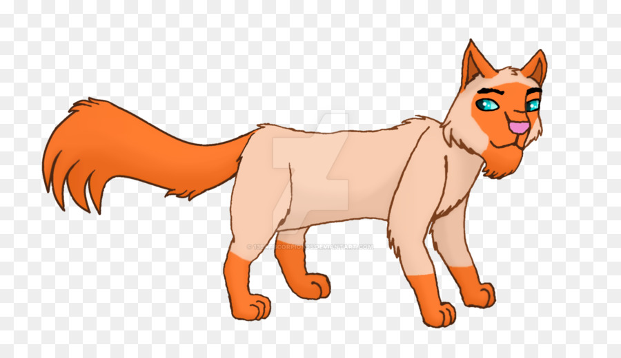 кошка，Красная лиса PNG