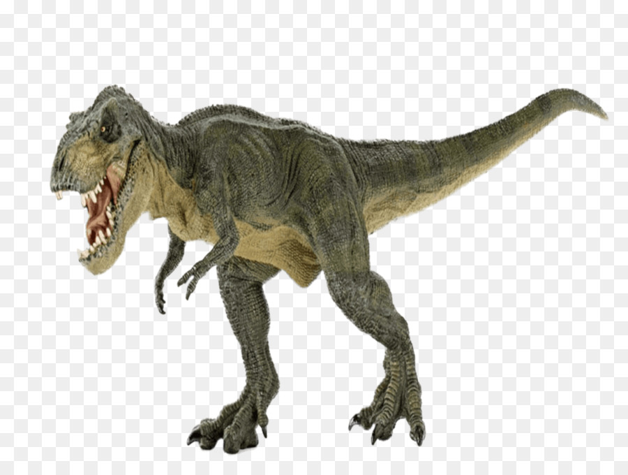 тиранозавр，Стегозавр PNG