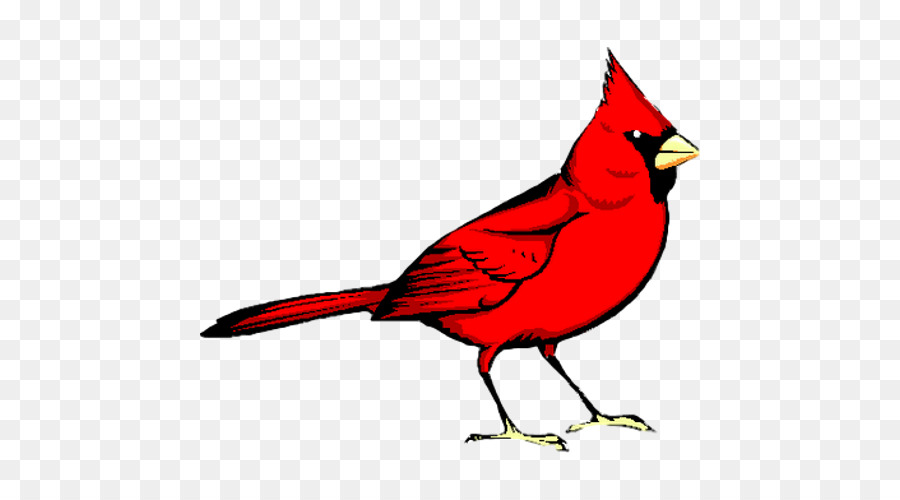 клиника Красная животных птица，Птица PNG