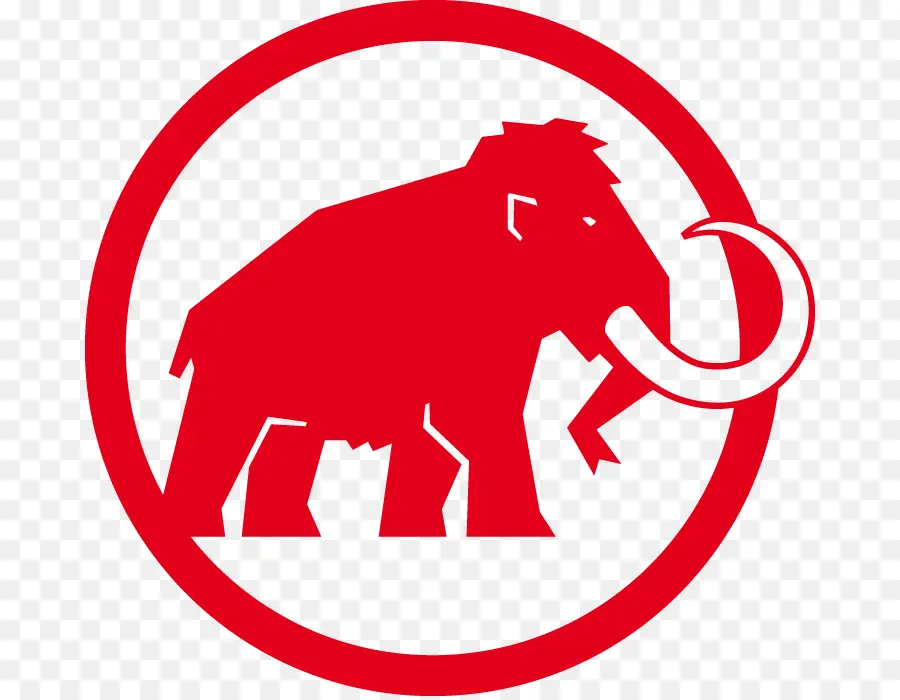 Mammut Sports Group，Футболка с логотипом Mammut Mens PNG