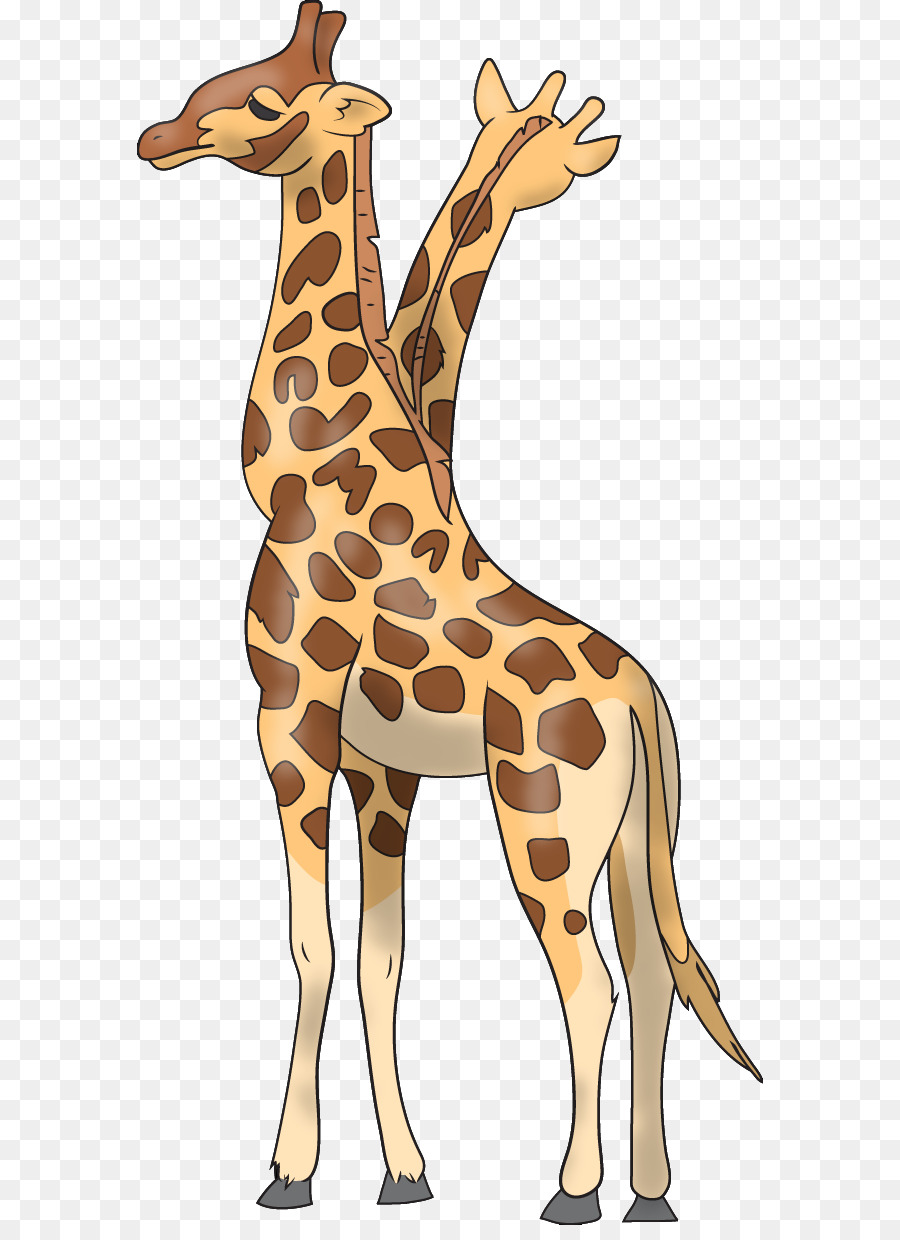 Жираф，олень PNG