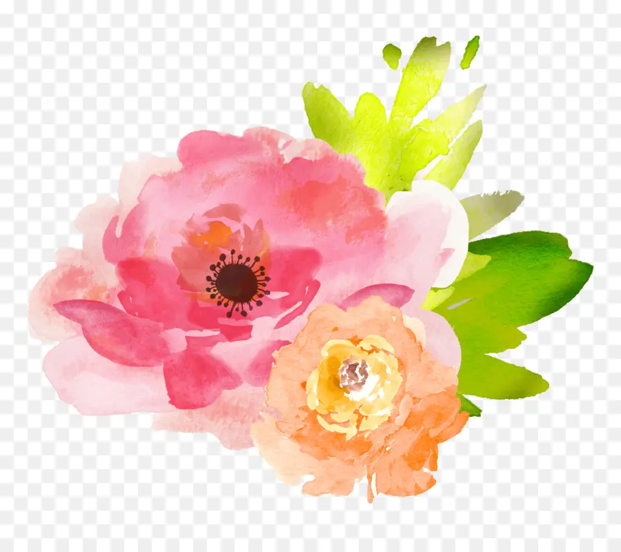 Watercolor Flowers，Акварельные Цветы PNG