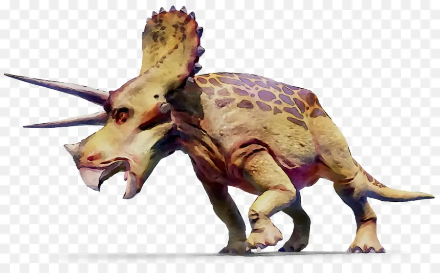 трицератопс，динозавр PNG