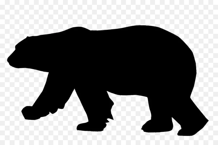 Белый медведь，американский черный медведь PNG