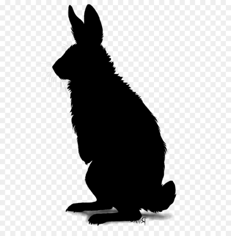 Домашний кролик，Кролик PNG