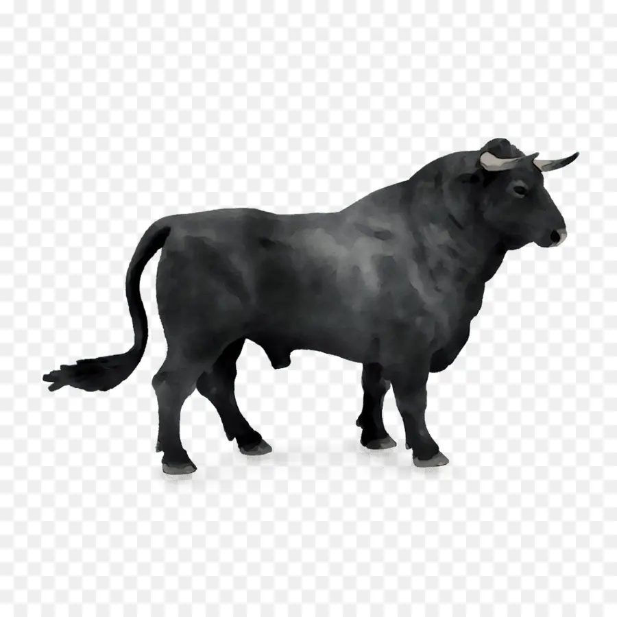 Бык，испанский боевой бык PNG