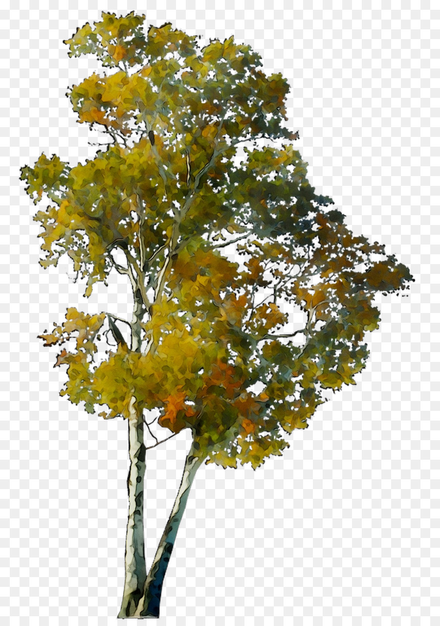 Деревья для фотошопа осень