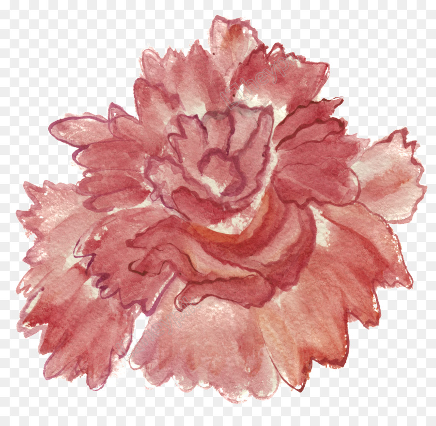 Watercolor Flowers，акварельная живопись PNG
