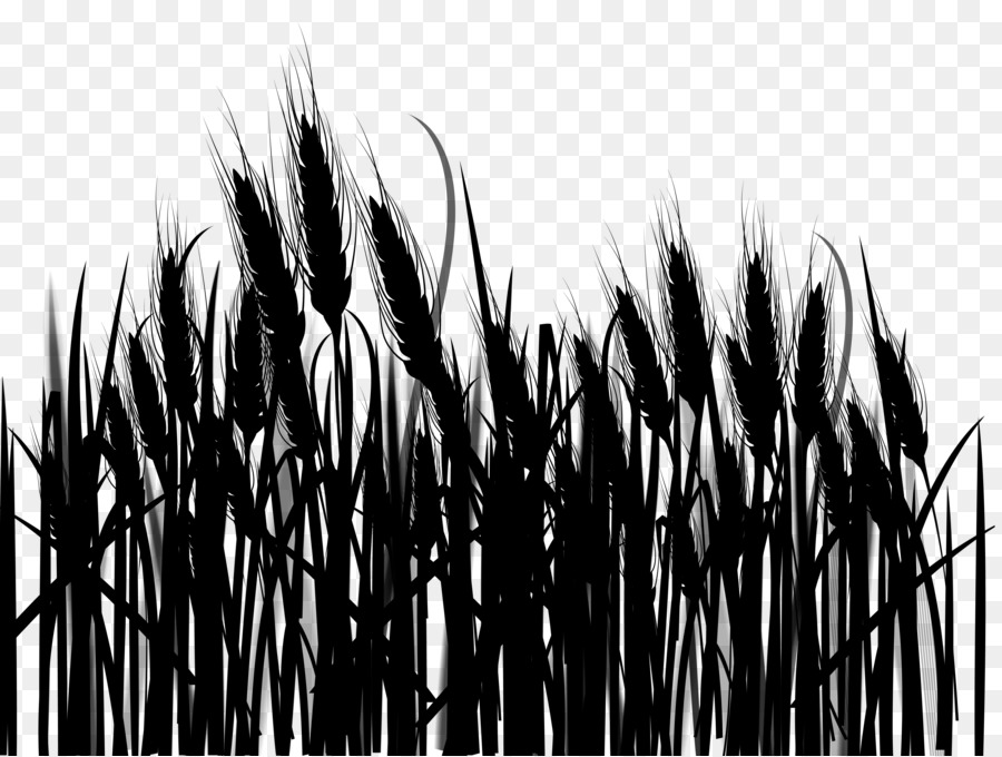 товар，Grasses PNG