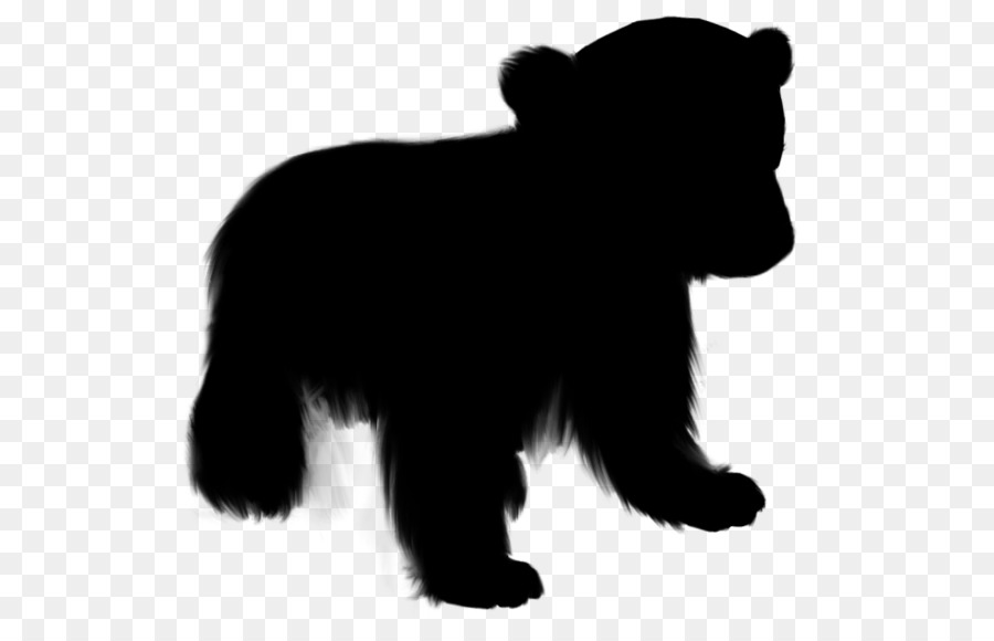 медведь，Собака PNG