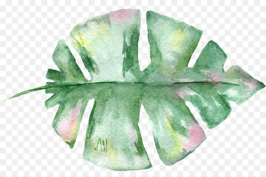 Watercolor Flowers，акварельная живопись PNG