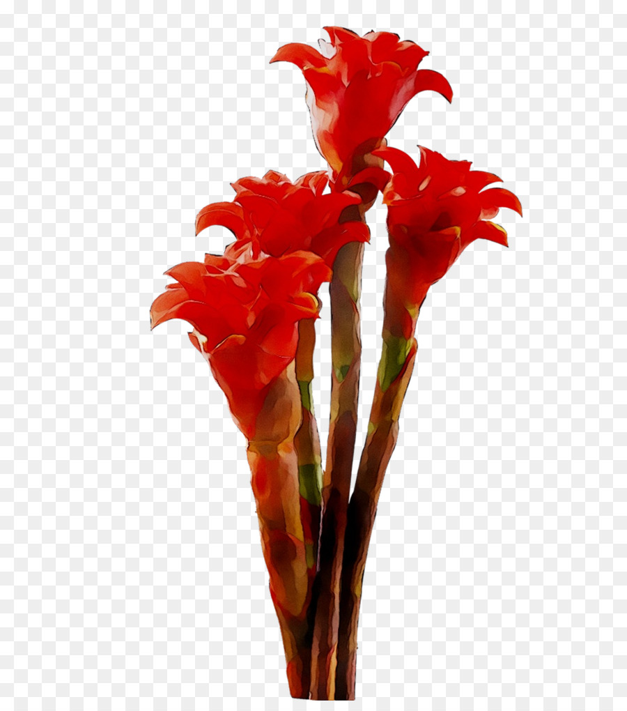 ствол，срезанные цветы PNG