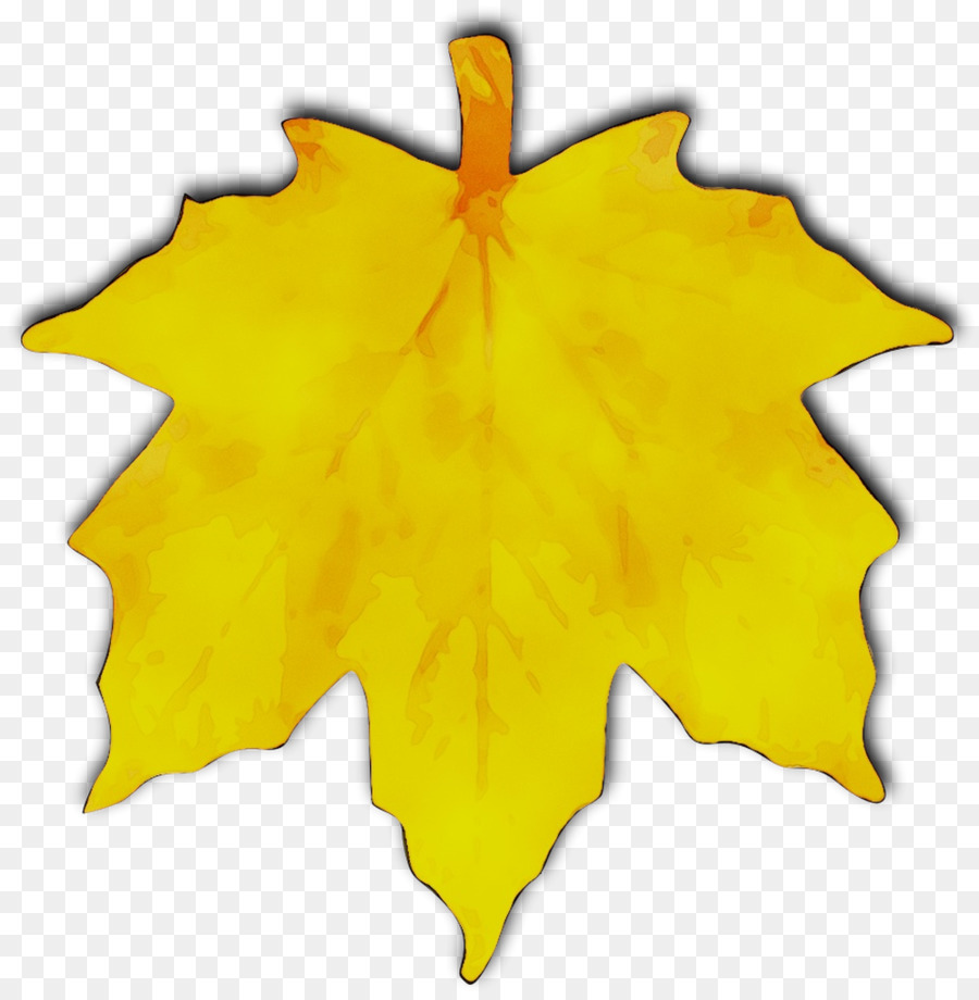 Разноцветный лист клена. Желтые листочки. Кленовые листочки желтые. Желтый листок клена. Листочки осенние желтые.