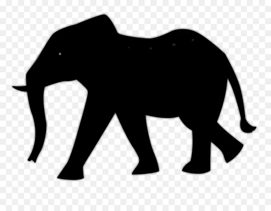 Африканский слон，лев PNG