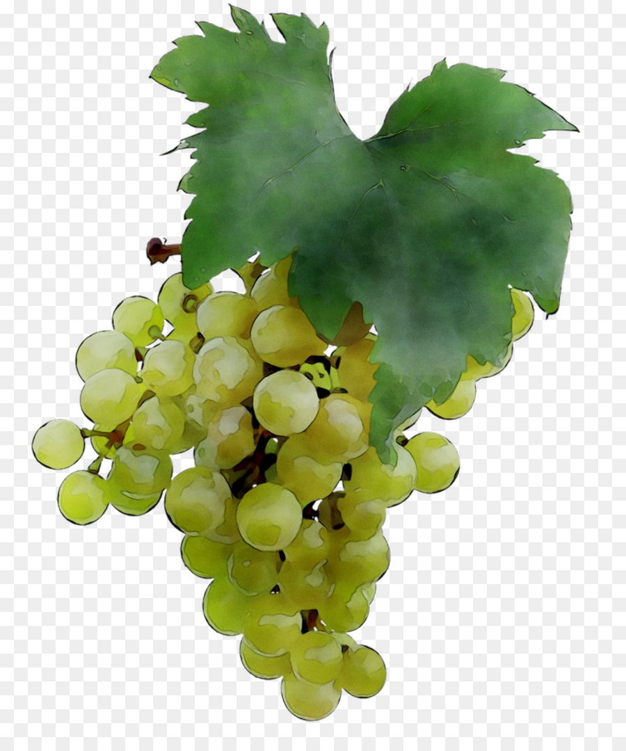 Султана，виноград PNG