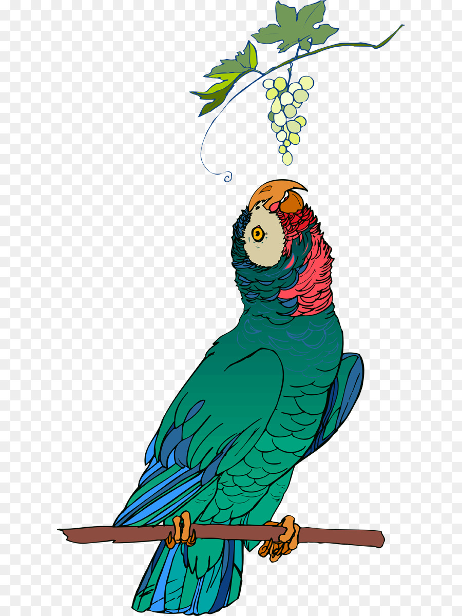 Иллюстрация попугай на жердочке