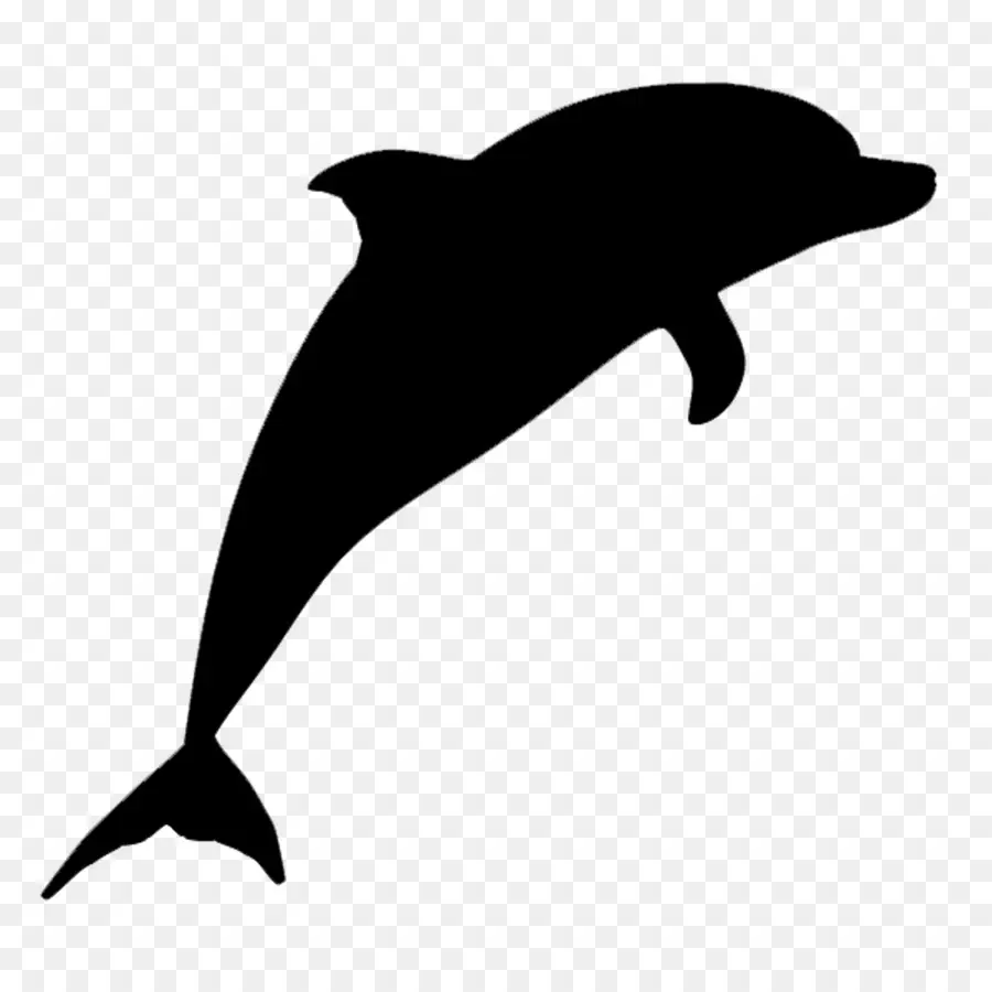 Шорт общий дельфин，Спиннер Дельфин PNG