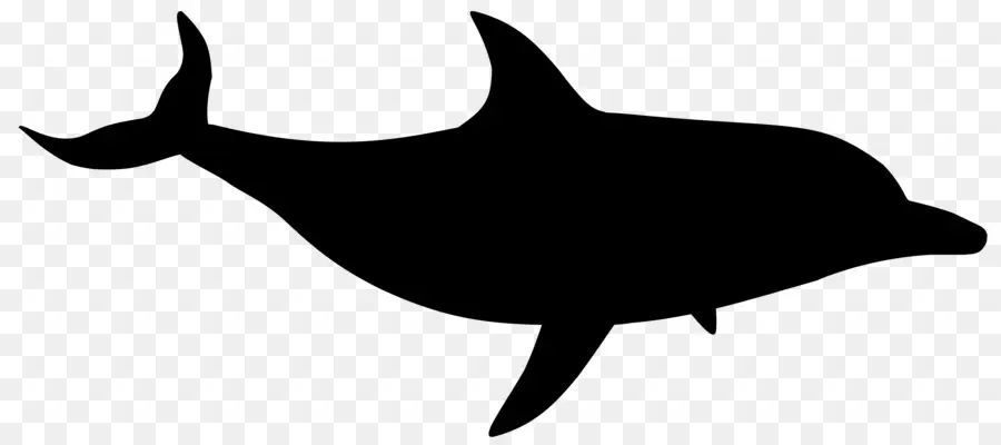 дельфин，акула PNG