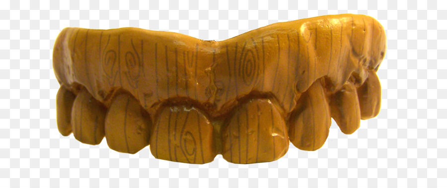 зубные протезы，Человеческий зуб PNG