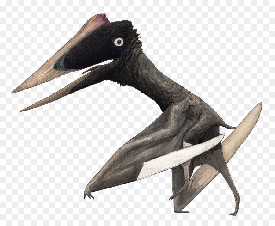 хатзегоптерикс，Quetzalcoatlus PNG