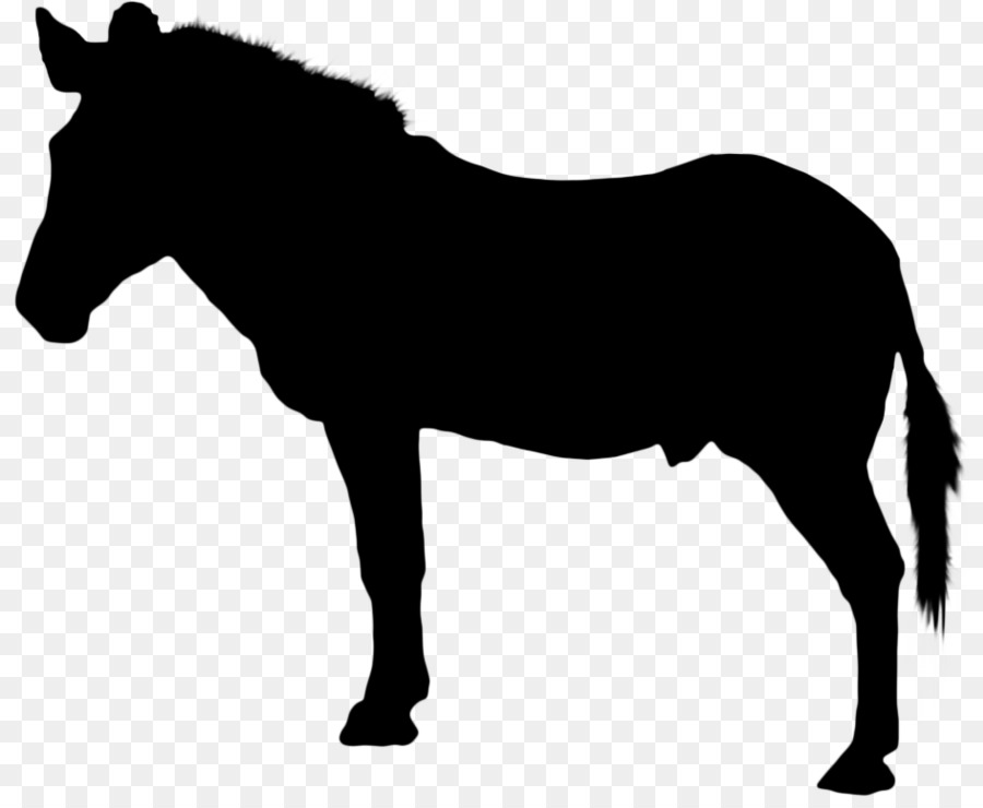 лошадь，скачки PNG