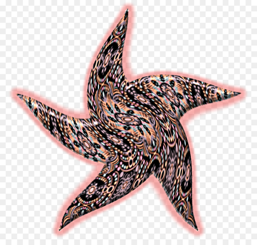 Морская звезда，Иглокожих PNG