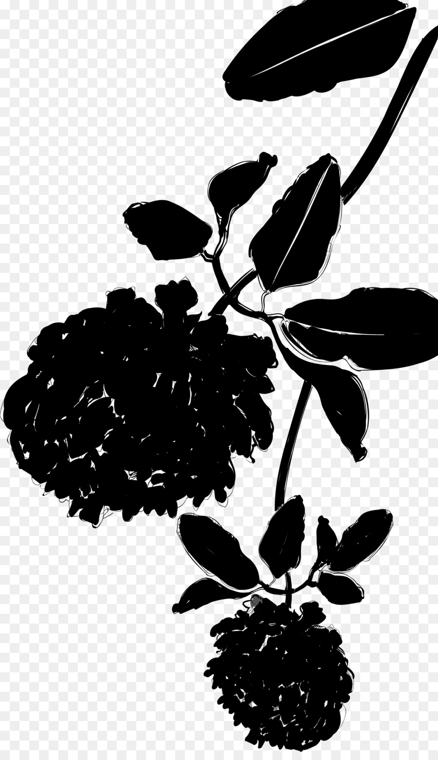 черный белый м，цветок PNG