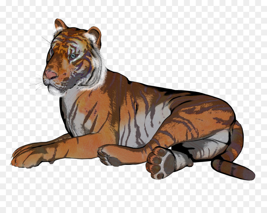Тигр，Лев PNG