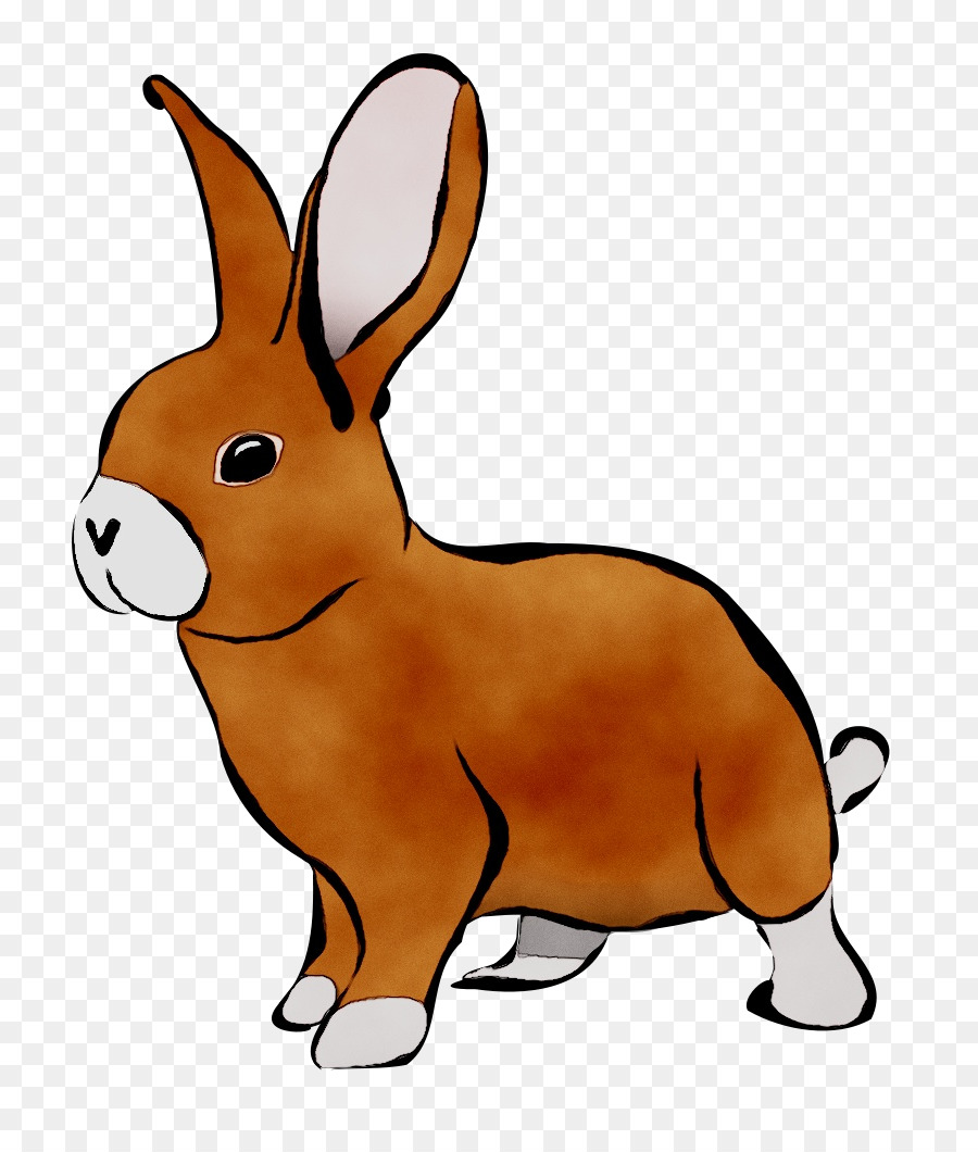 Кролик，Пасхальный Кролик PNG