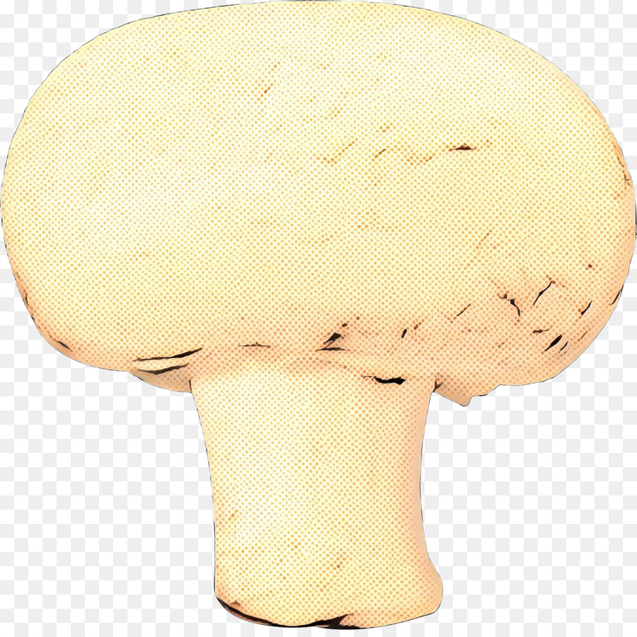 Agaricaceae， PNG