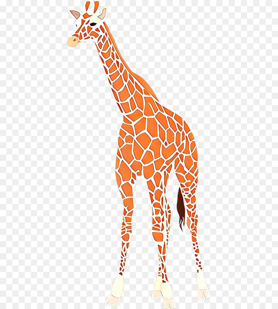 Детские Жирафы，Рисунок PNG