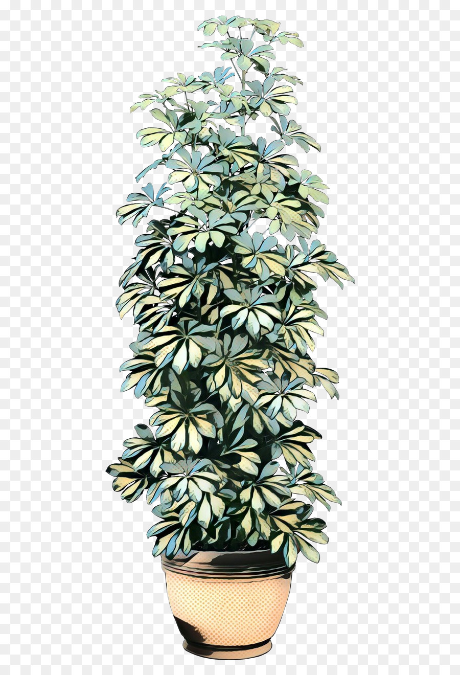 Комнатное растение，горшок PNG