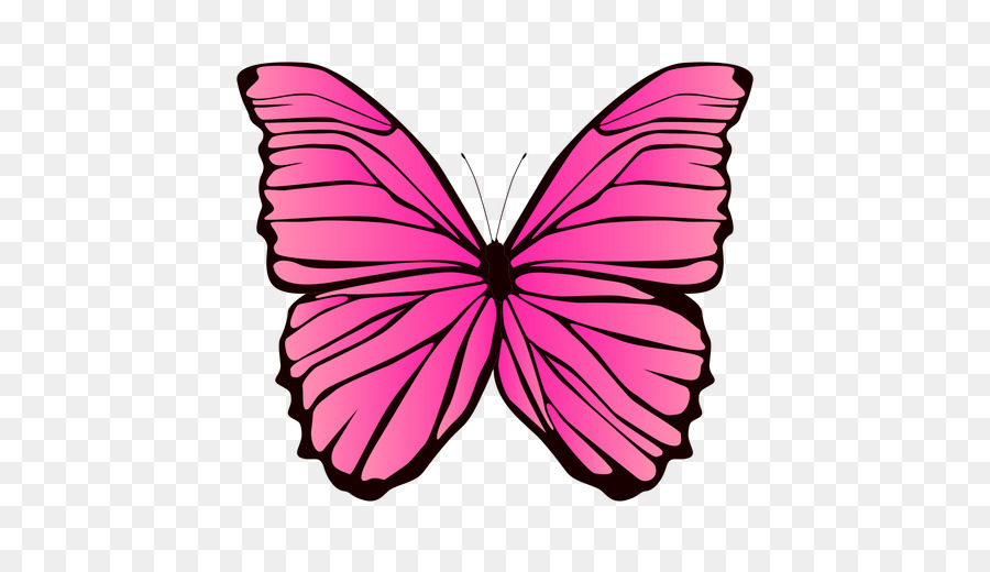 Бабочки розовые распечатать. Розовые бабочки. Бабочка рисунок. Бабочки на белом фоне. Бабочка розовая клипарт.