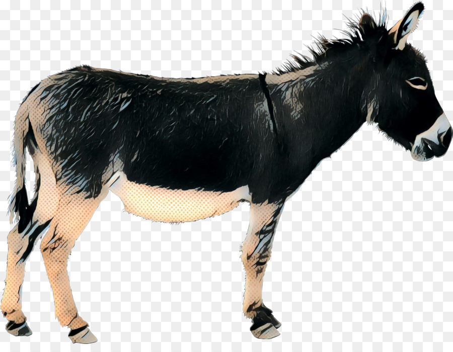 Крупный рогатый скот，Мустанг PNG