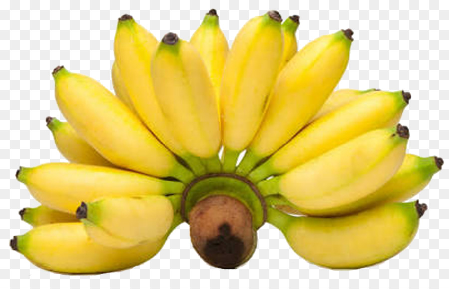 Леди пальцы банан，банан PNG