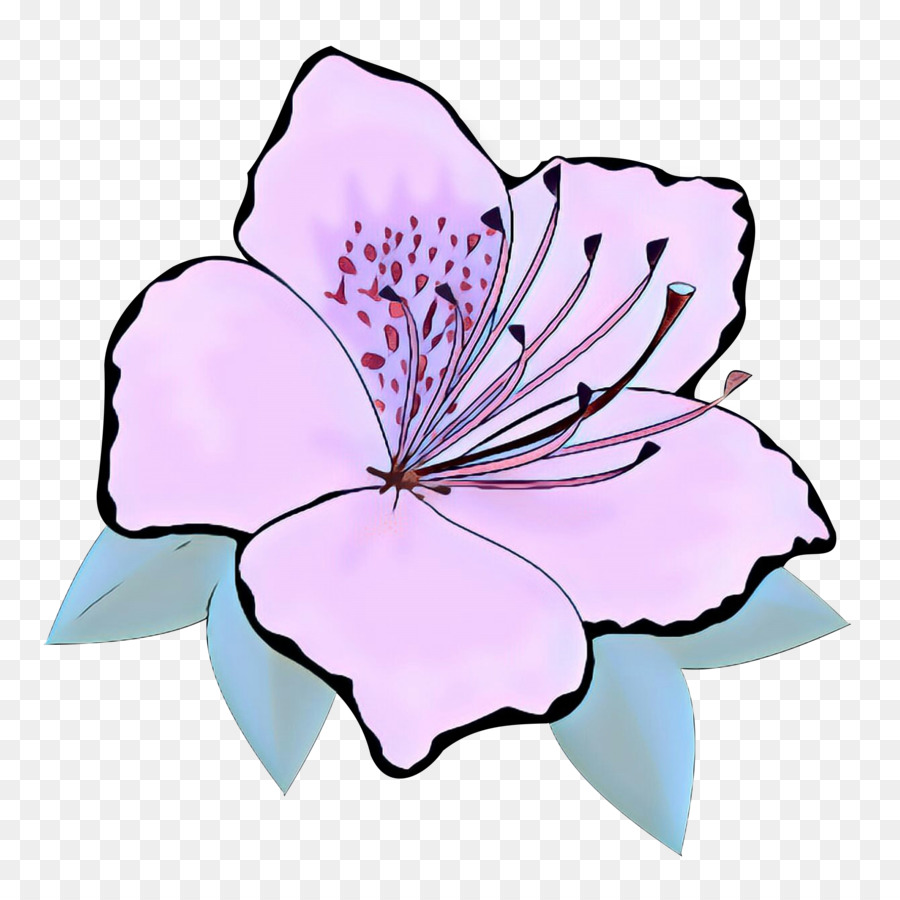 срезанные цветы，цветочный дизайн PNG
