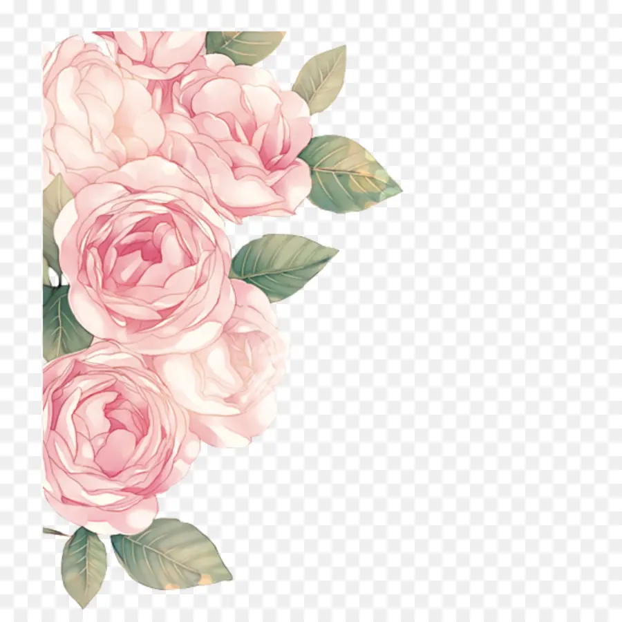 цветок，Розовые цветы PNG