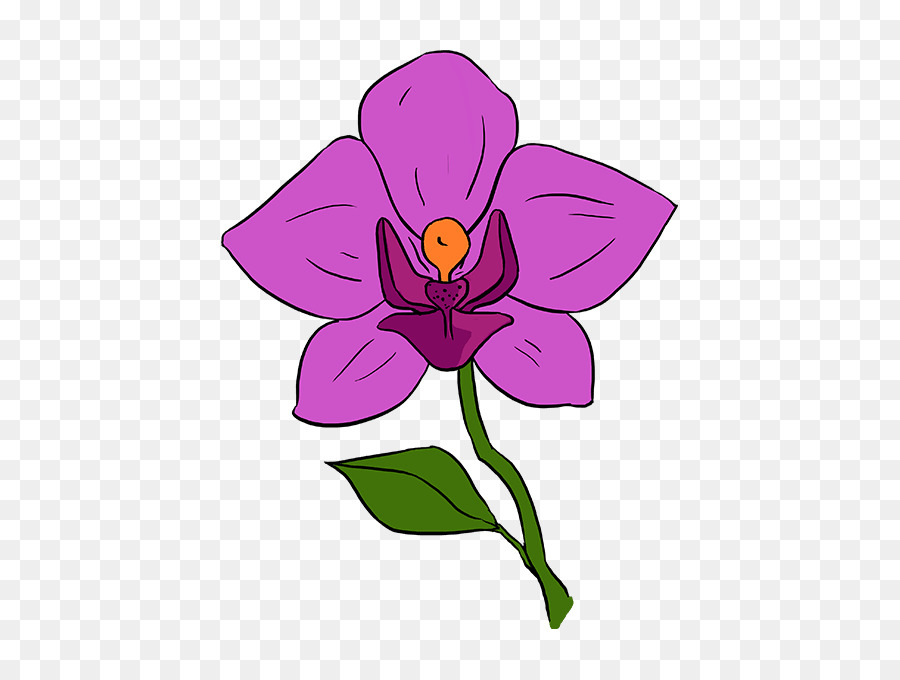 Рисунок орхидея для срисовки